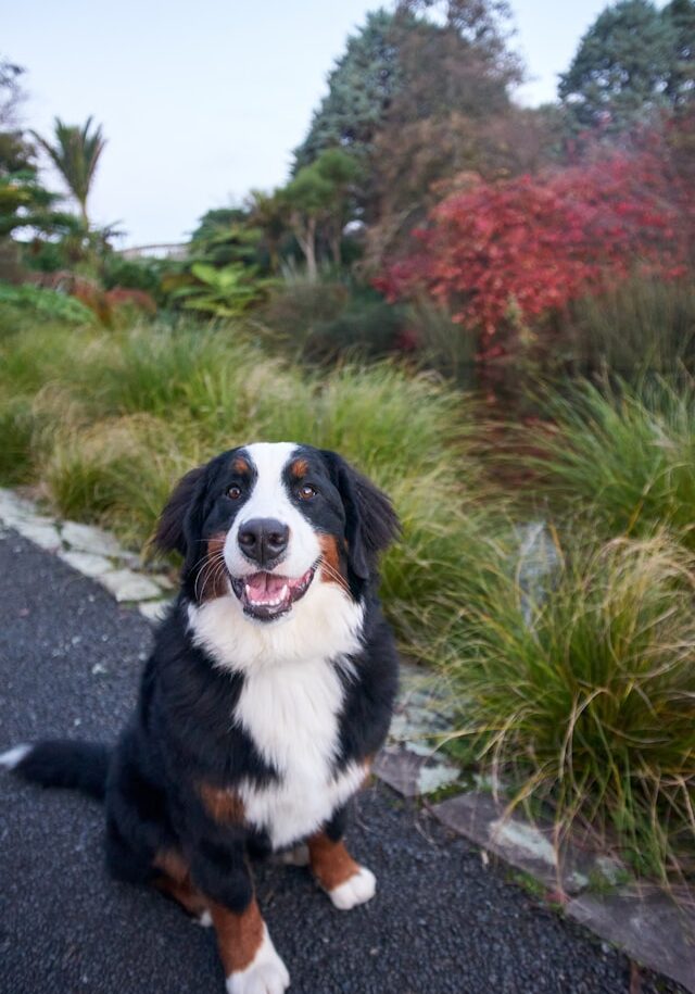 charlotte-freeman-e2jwmrX0O94-unsplash